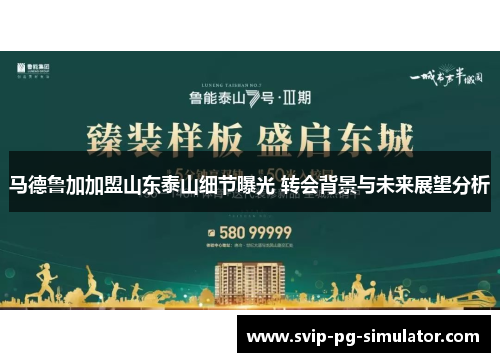 马德鲁加加盟山东泰山细节曝光 转会背景与未来展望分析 马德鲁加加盟山东泰山细节曝光 转会背景与未来展望分析